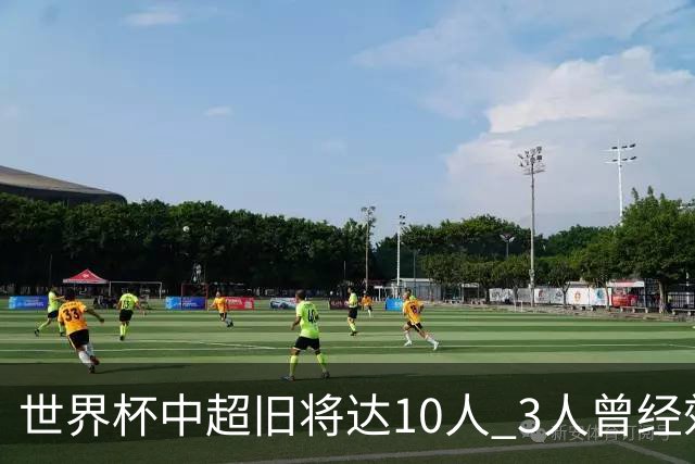 世界杯中超旧将达10人 3人曾经效力国安海港两将