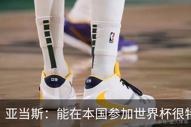亚当斯：能在本国参加世界杯很特别 波切蒂诺和伊劳拉都注重细节